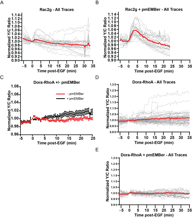 Figure 4—figure supplement 3.