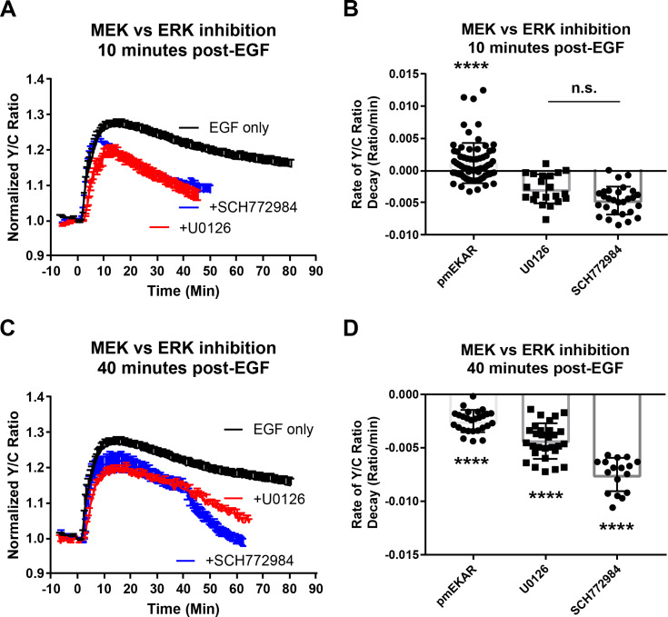 Figure 2—figure supplement 2.