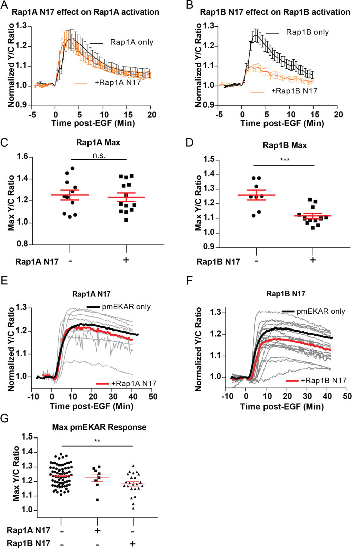 Figure 3—figure supplement 5.