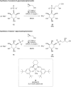 Scheme 6