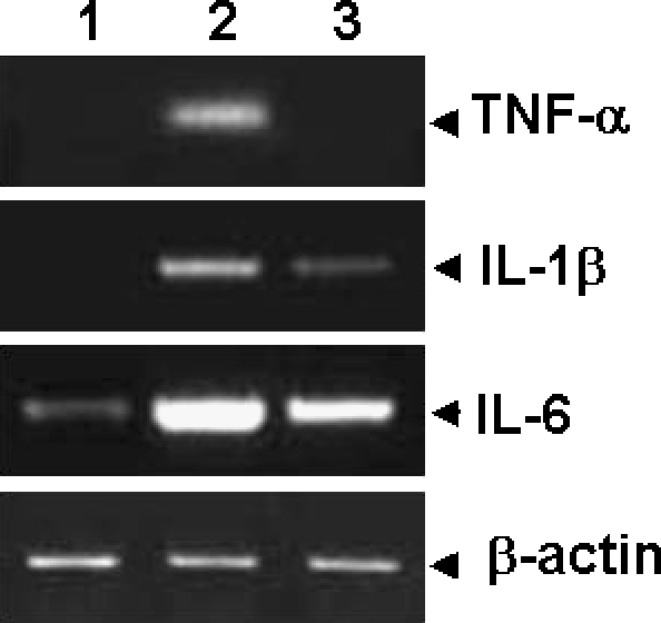 FIG. 10