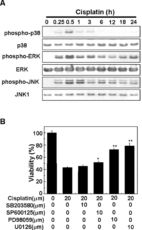 FIG. 8