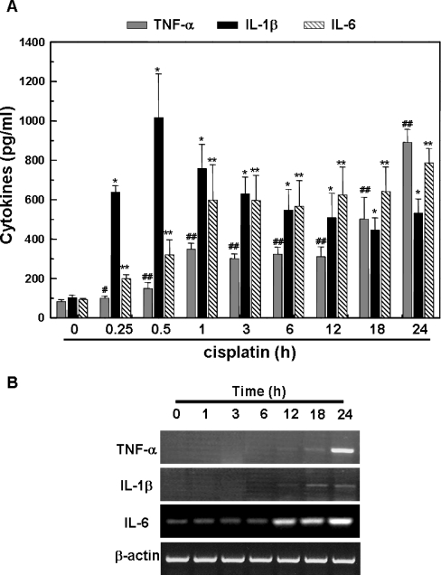 FIG. 1