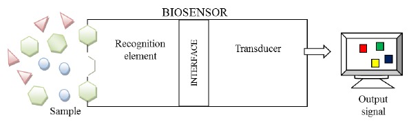 Scheme 4.