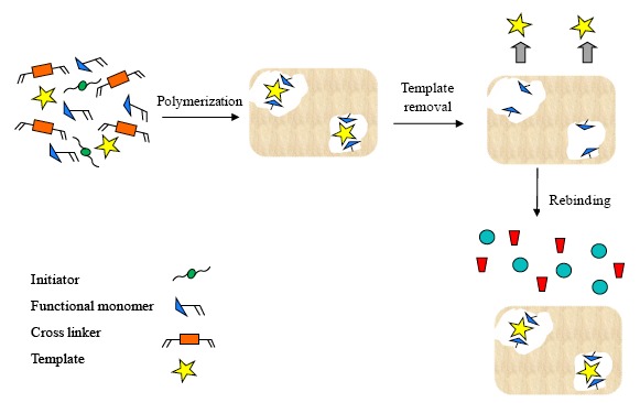 Scheme 1.