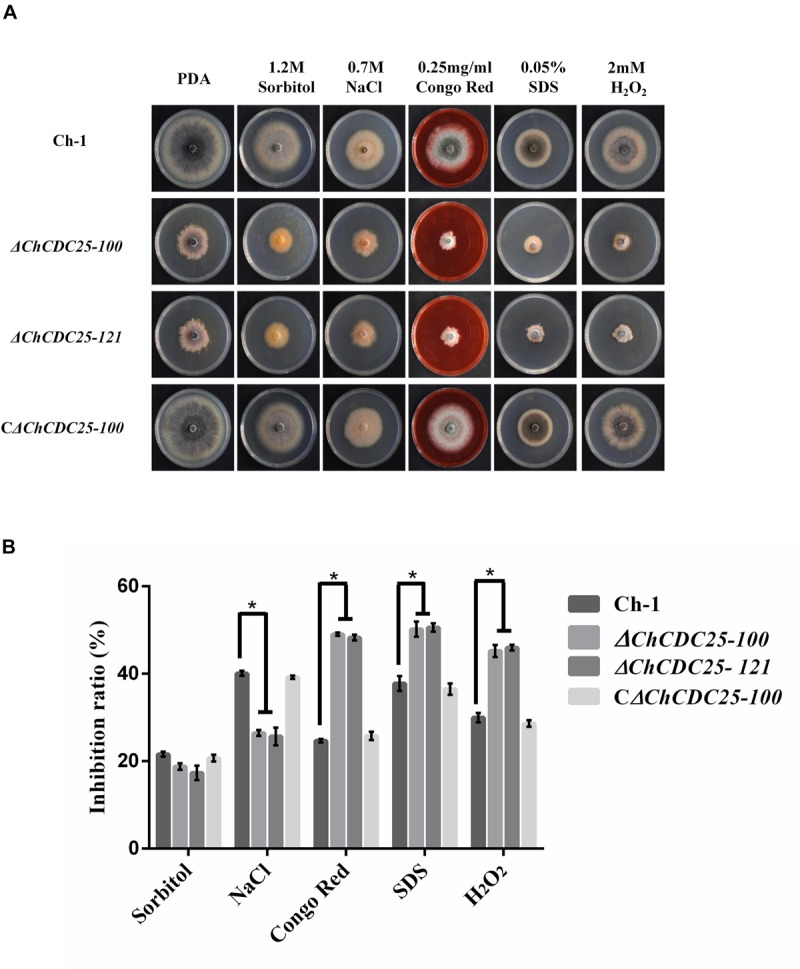 FIGURE 4