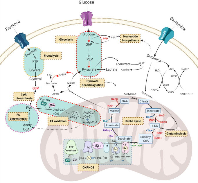 Figure 2