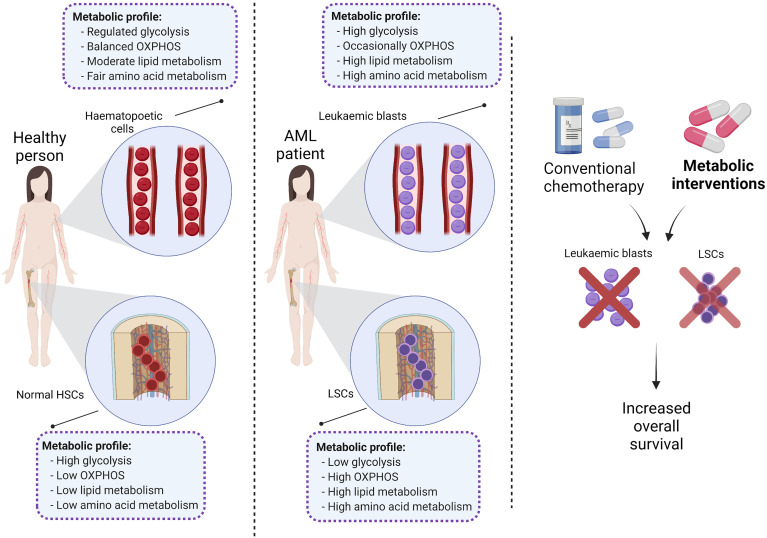 Graphical Abstract