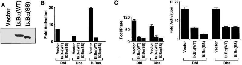 FIG. 7