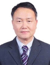 graphic file with name ADVS-12-e09543-g016.gif