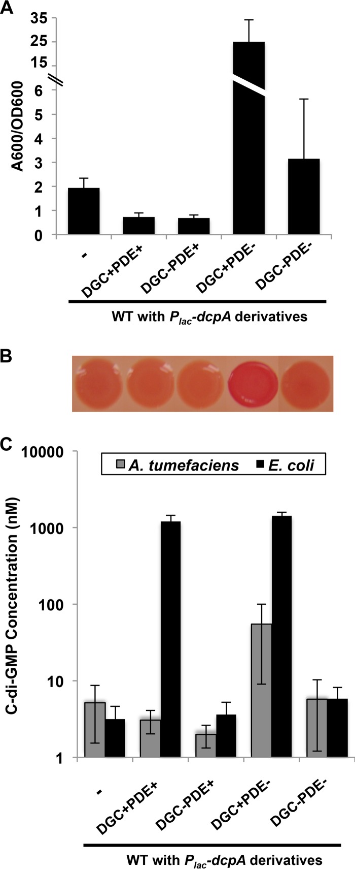 FIG 2 