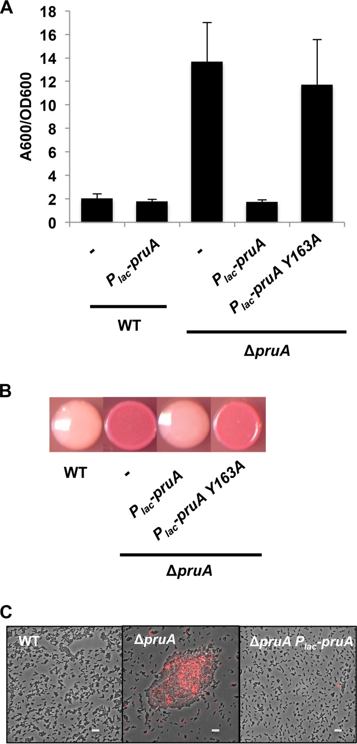 FIG 3 