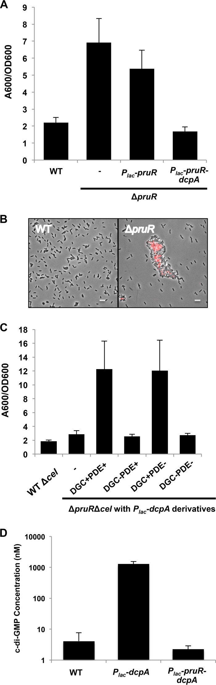 FIG 6 