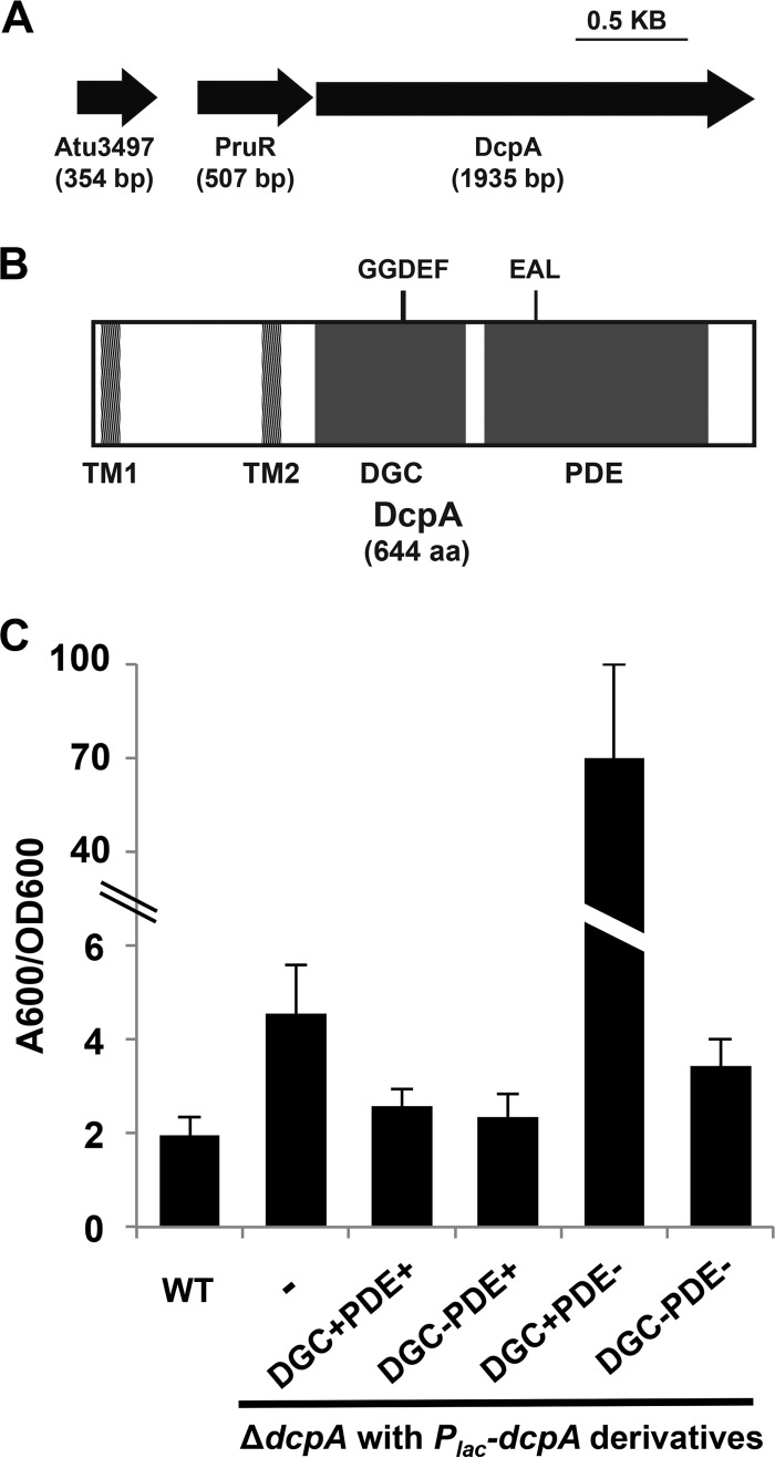 FIG 1 