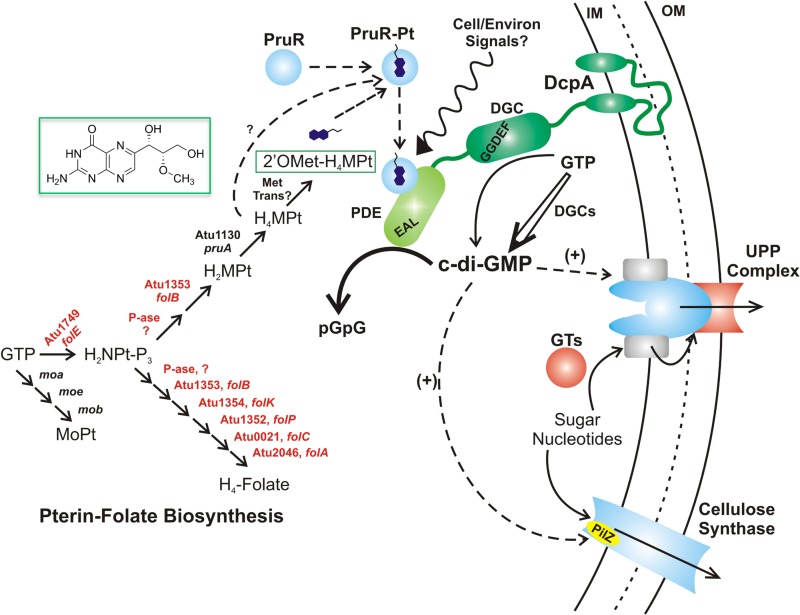 FIG 7 