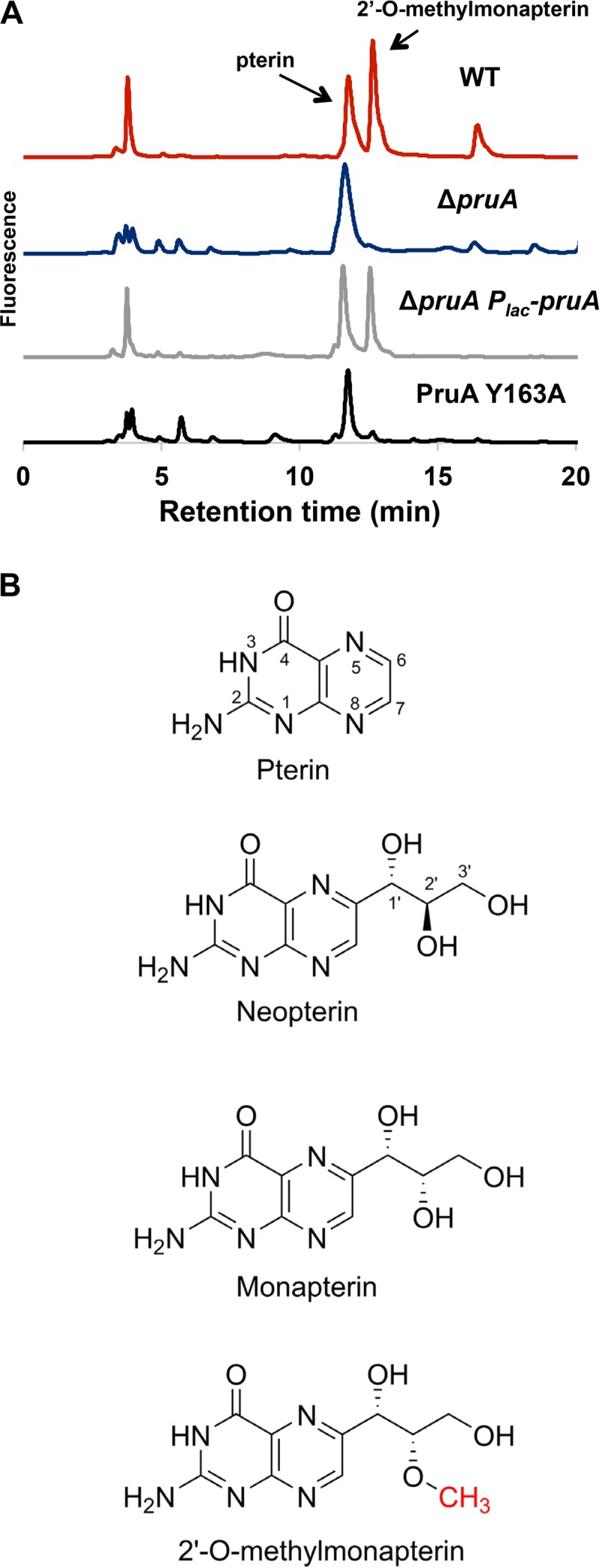 FIG 4 