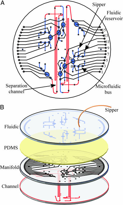 Fig. 1.