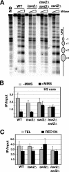 FIG. 2.