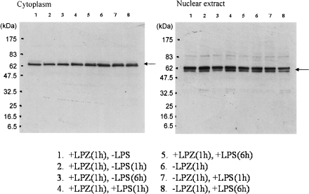 Fig. 6