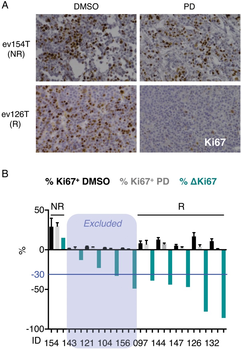 Figure 6