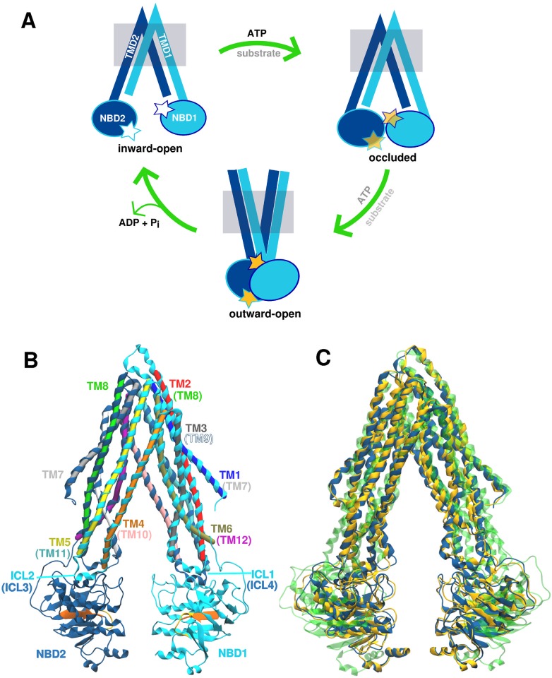 Fig 1