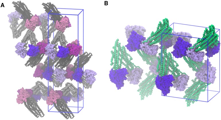 Fig 6