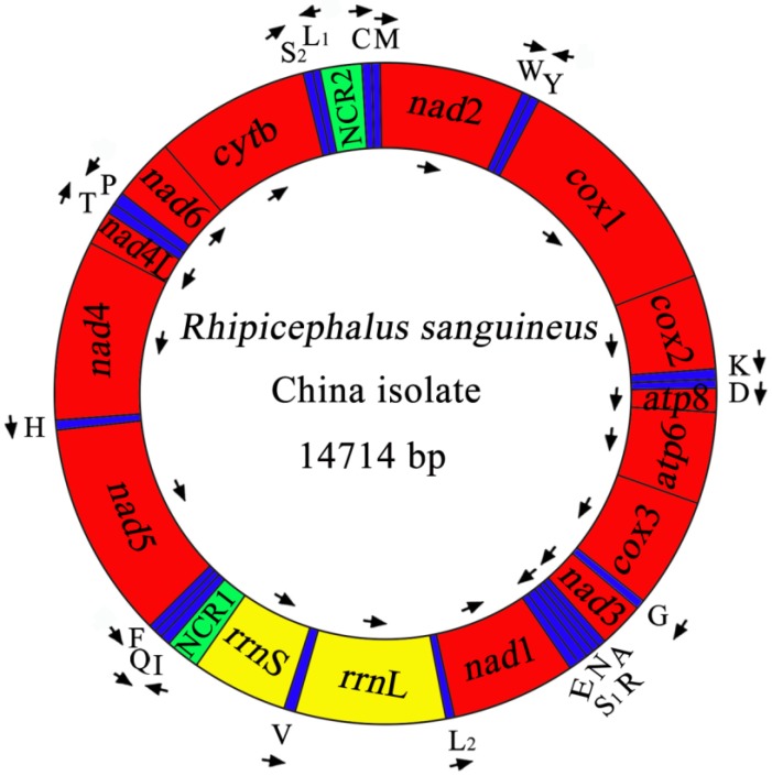 Fig 1