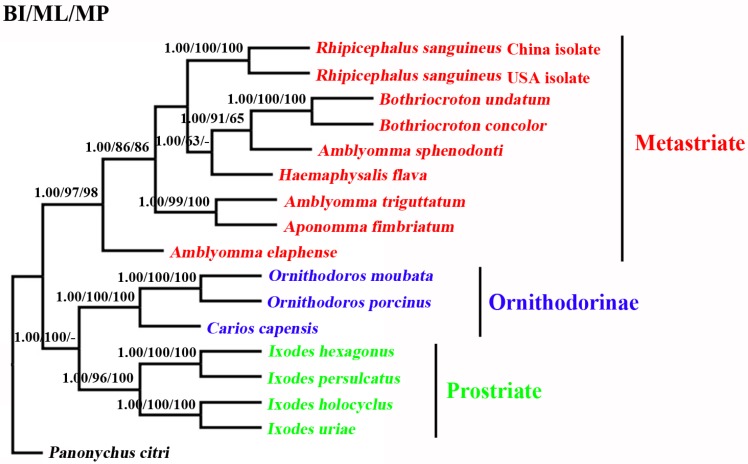 Fig 2