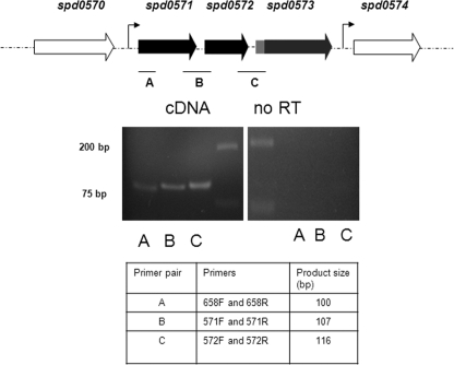 Fig 4