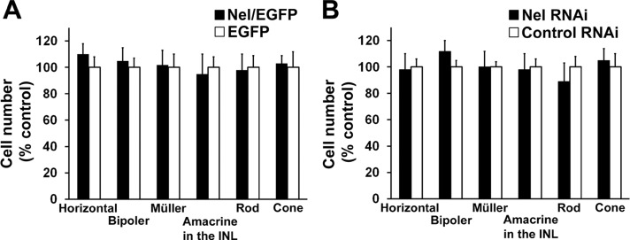 FIGURE 5: