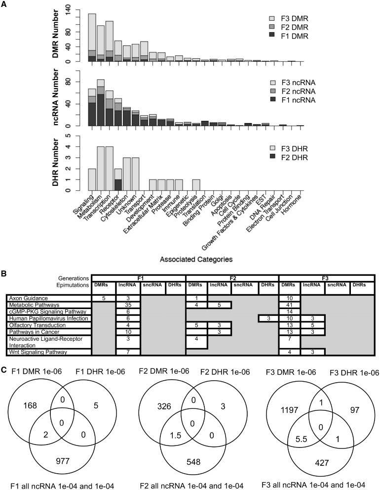 Figure 9: