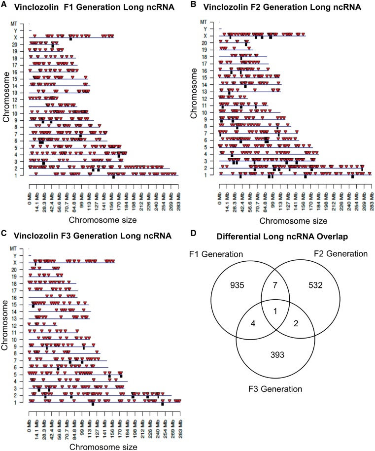 Figure 6: