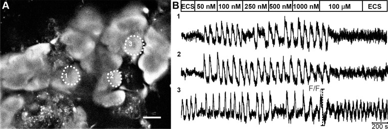 Fig 3