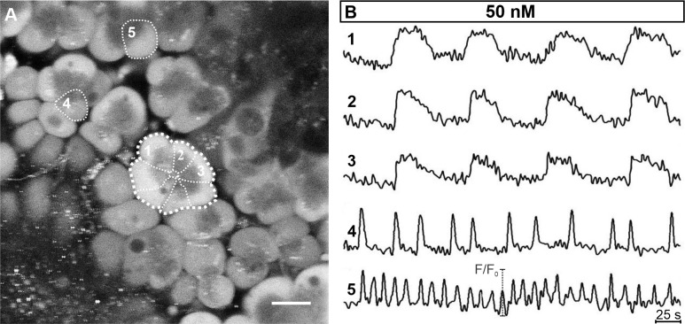 Fig 4