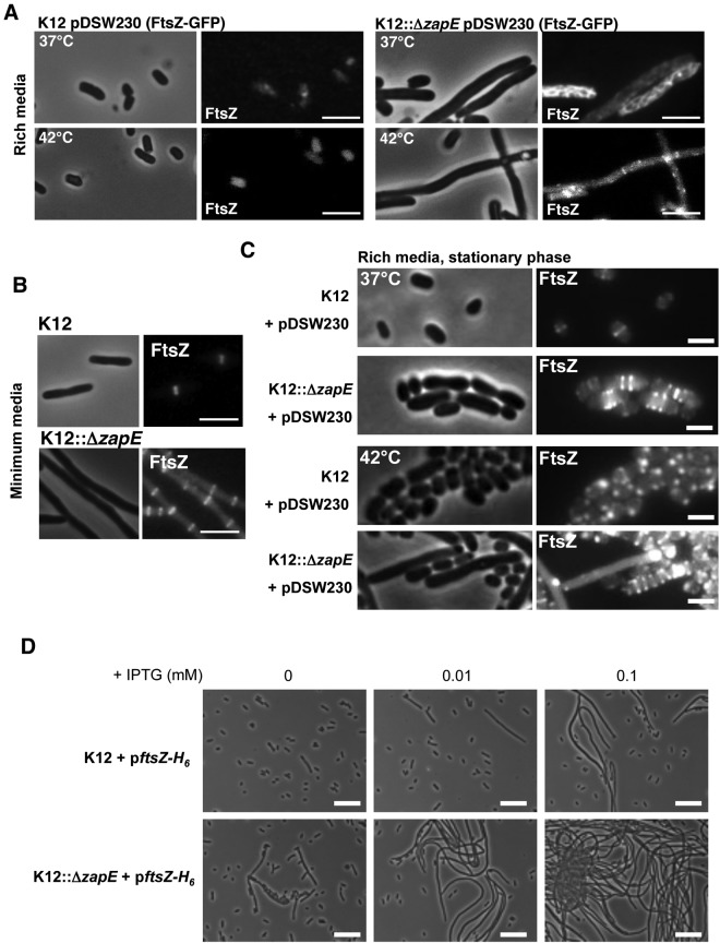 FIG 4 