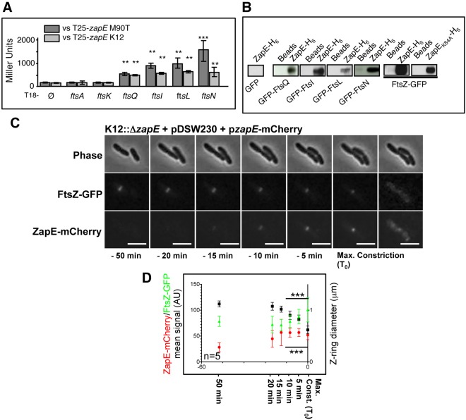 FIG 3 