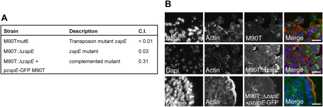 FIG 1 