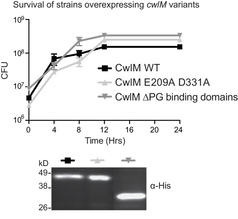 Figure 1—figure supplement 1.