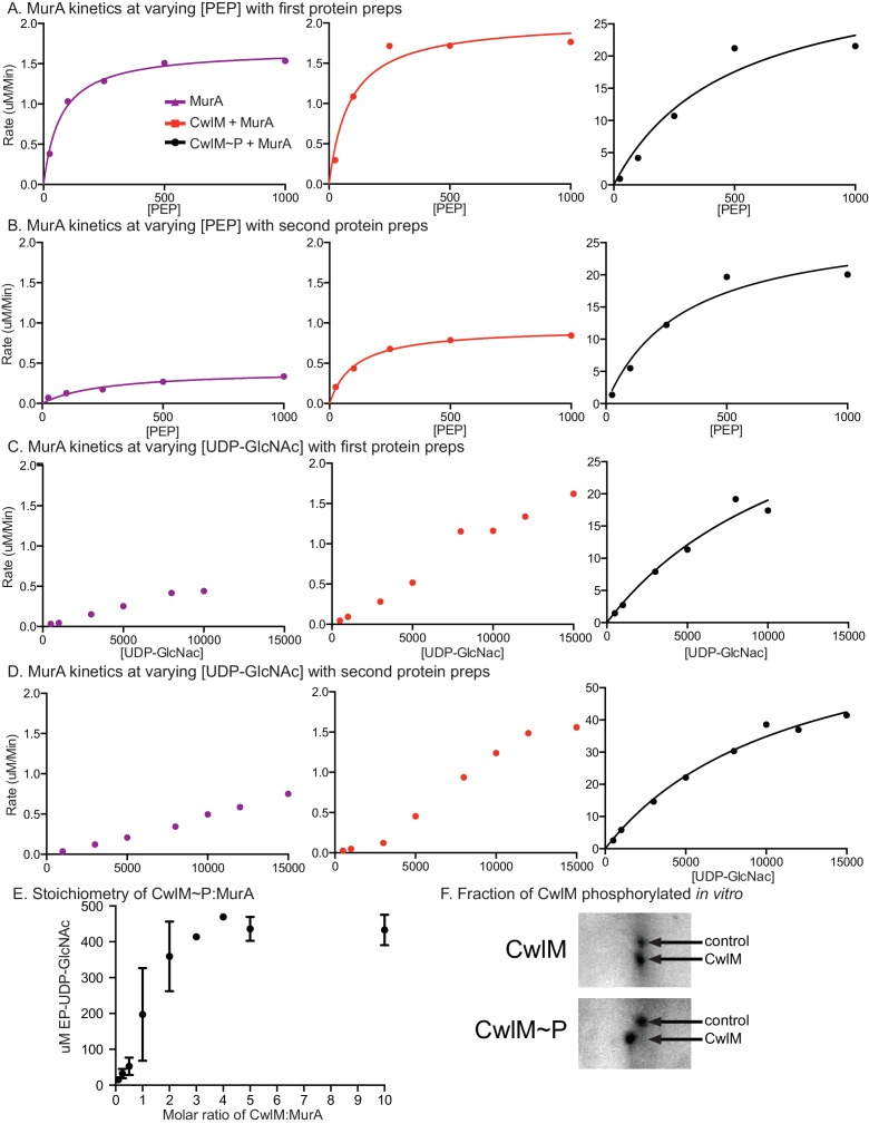 Figure 5—figure supplement 1.