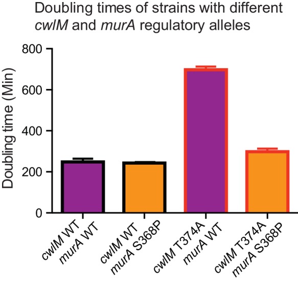 Figure 4—figure supplement 1.