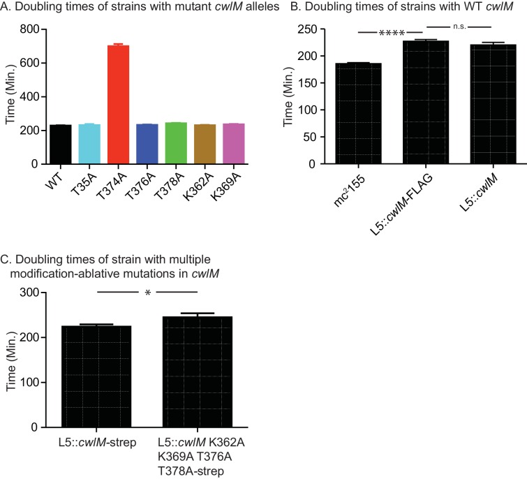 Figure 2—figure supplement 1.