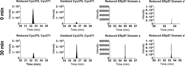 Figure 7.