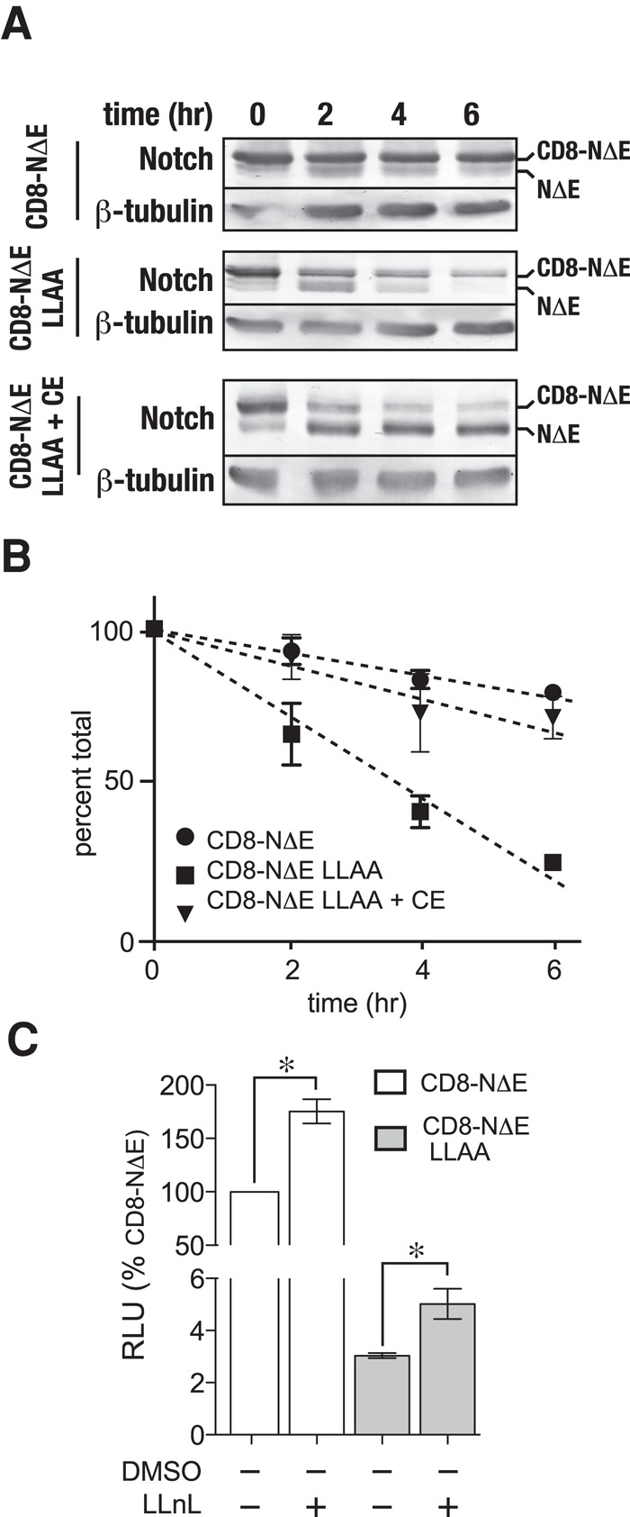 FIGURE 7: