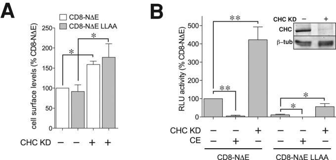 FIGURE 4: