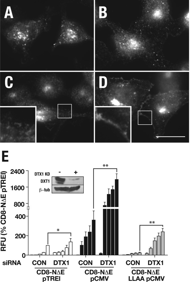 FIGURE 9: