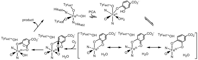 Scheme 2