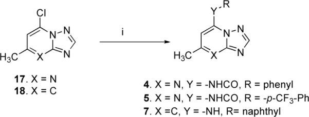 Scheme 1