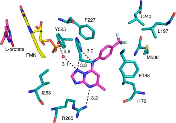 Figure 5