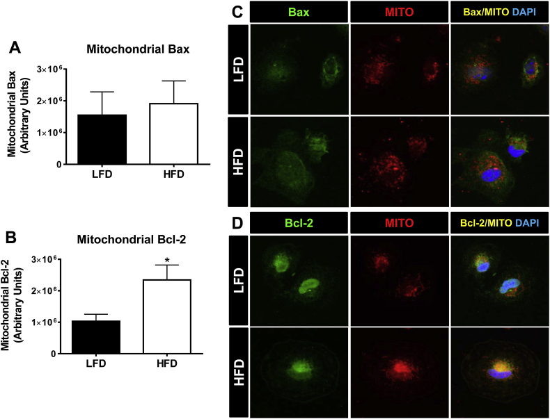 Figure 5