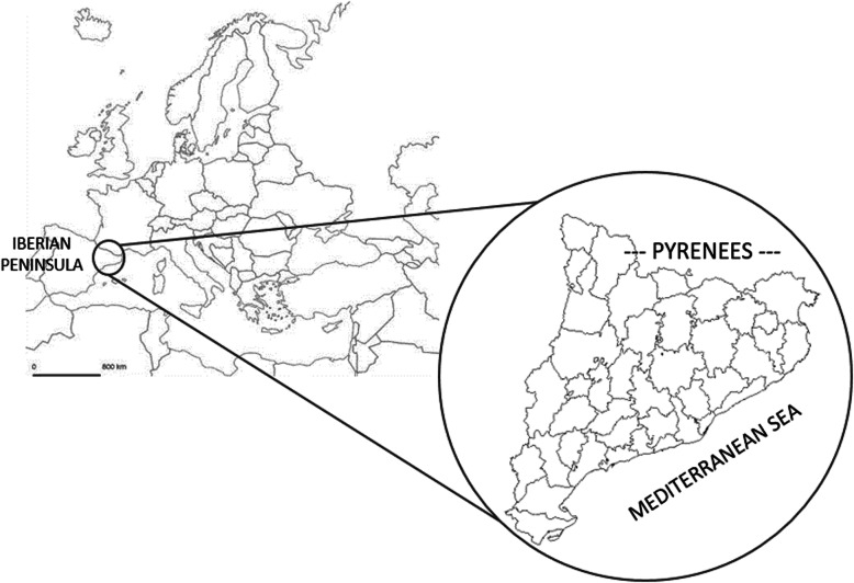 Fig. 1